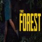 the forest能幾個人玩