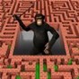 3d迷宮玩法