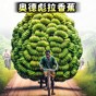 一命通關(guān)恐怖游戲別怕寶貝